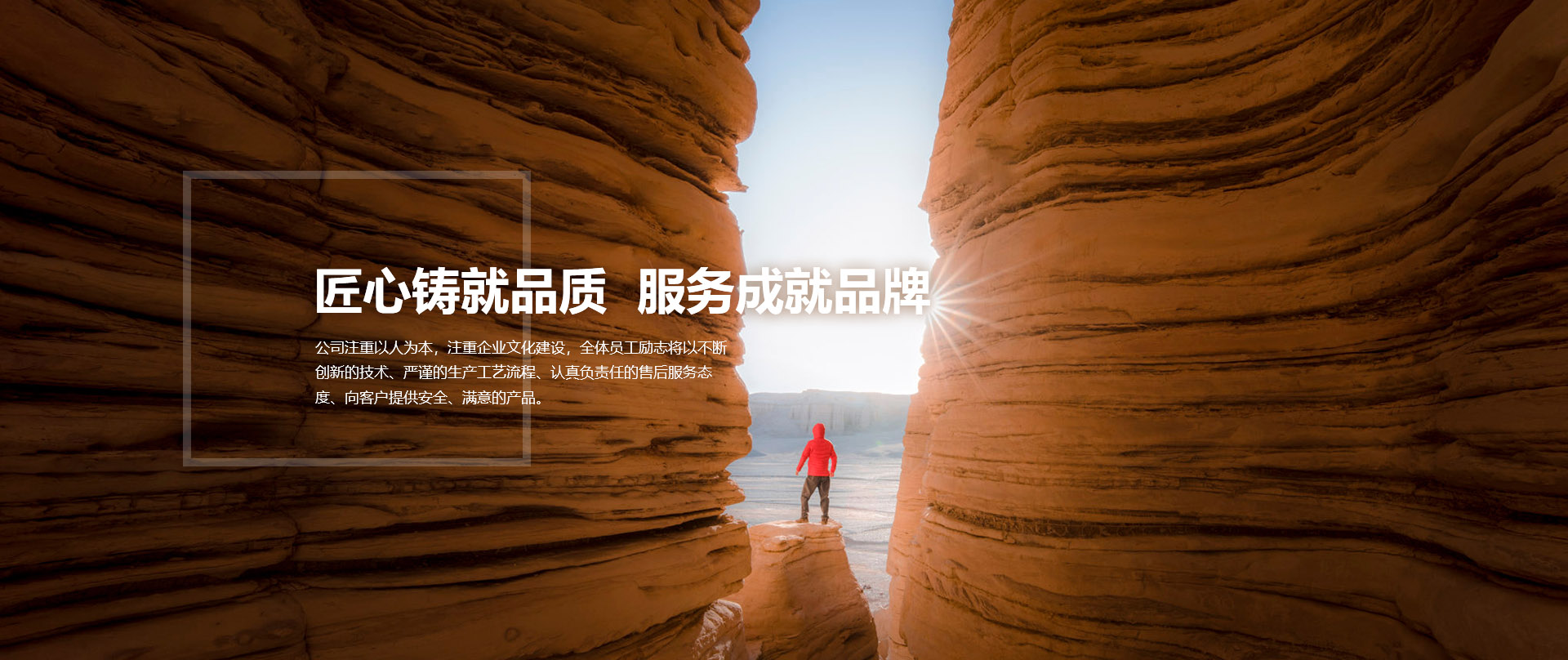 為您的需求量身定制